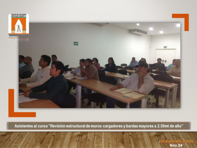 Fotografía 3 de 10 del álbum Revisión Estructural De Muros Cargadores Y Bardas Mayores A 2.50 Mts De Alto (2)