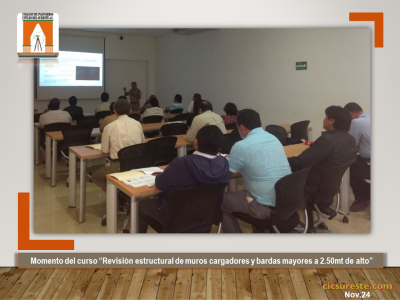 Fotografía 4 de 10 del álbum Revisión Estructural De Muros Cargadores Y Bardas Mayores A 2.50 Mts De Alto (2)