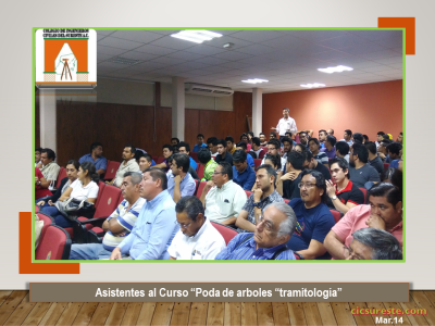 Fotografía 2 de 5 del álbum Poda De Árboles Tramitología