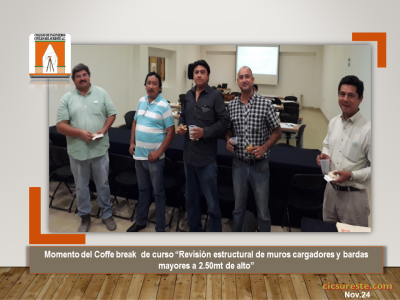Fotografía 7 de 10 del álbum Revisión Estructural De Muros Cargadores Y Bardas Mayores A 2.50 Mts De Alto (2)