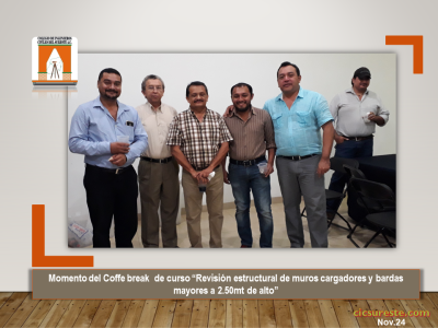Fotografía 6 de 10 del álbum Revisión Estructural De Muros Cargadores Y Bardas Mayores A 2.50 Mts De Alto (2)